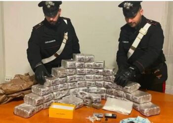 Arrestohet i riu shqiptar në Itali, policia i sekuestron 30 kg drogë