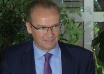 Pas takimit me Bashën, deputeti gjerman sulmon Berishën