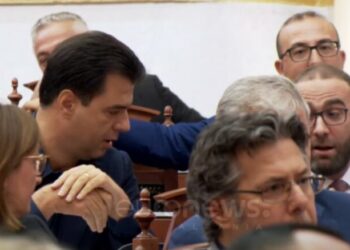 “Kur ka beteja opozita, Luli merr pushime”, Bardhi tallet me Bashën