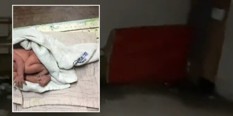 Foshnja i braktisur erdhi në jetë në divanin e bodrumit, kamerat fiksuan nënën