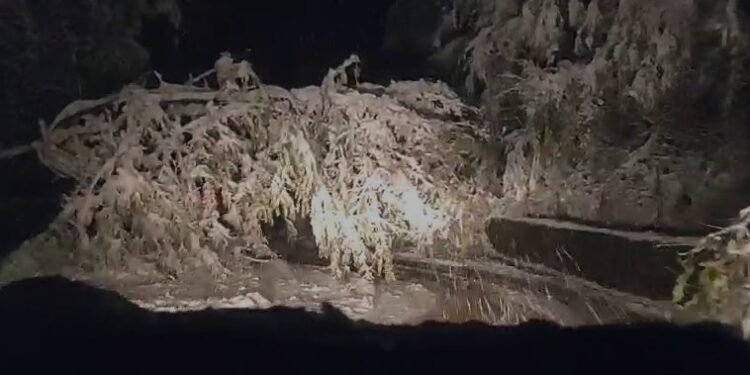 “Horror”/ Rrugët e bllokuara në Dibër, qytetarët në mëshirë të fatit (VIDEO)
