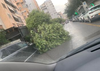 Përmbytjet në Tiranë/ Nga përmbytjet tek rrëzimi i pemëve mbi makina