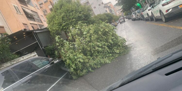 Përmbytjet në Tiranë/ Nga përmbytjet tek rrëzimi i pemëve mbi makina