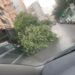 Përmbytjet në Tiranë/ Nga përmbytjet tek rrëzimi i pemëve mbi makina