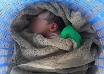 “I mbuluar me gjak e baltë dhe pa shenja jete”, relacioni i plotë i mjekëve për foshnjën e braktisur