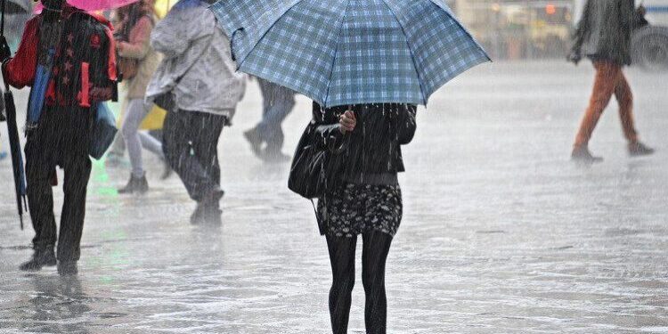 Moti për të gjithë javën, temperaturat në minus