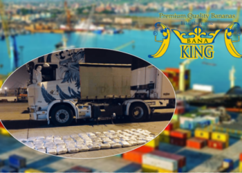 Si u zhduk kontenieri me 1000 kuti banane i “Bana-King” nga Porti i Durrësi