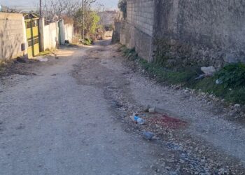 Shkoi për të prerë dru, por e zuri poshtë freza. Humb jetën 1 person