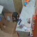 VIDEO/ Gruaja xheloze i hedh benzinë burrit dhe i vë zjarrin, 50-vjeçari pësoi fatin tragjik