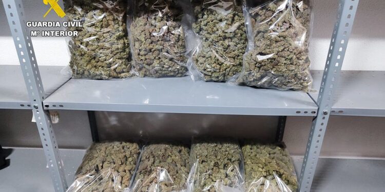 Kapet me 92 kg marijuanë, arrestohet shqiptari në Spanjë. Përplaset me policinë, një i plagosur