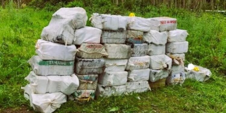 DEA Amerikane, Interpoli, Guardia Civile spanjolle shkatërrojnë grupin kriminal të kokainës, 9 të arrestuar, mes tyre shqiptarë