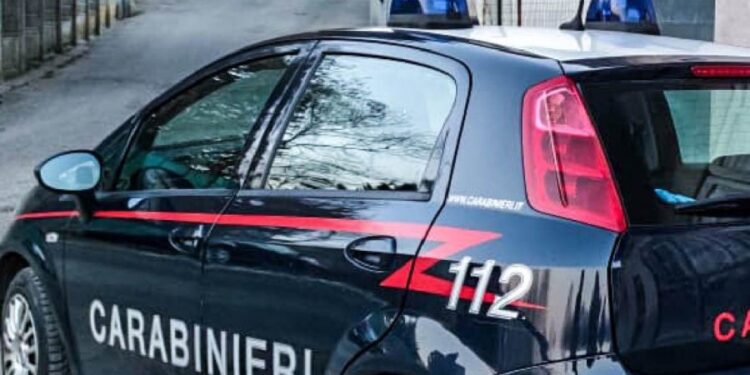 Gruaja merr një gjobë, bashkëshorti tenton ta godasë me thikë për vdekje. Shpëtohet nga kunati i saj