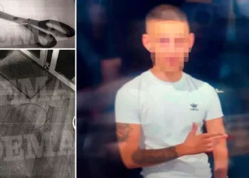 Vrau vëllanë me gërshërë pas sherrit për një bluzë, 18-vjeçari grek del para gjyqit: Nuk jam vrasës! Kam pasur një fëmijëri të shkatërruar pas divorcit të prindërve