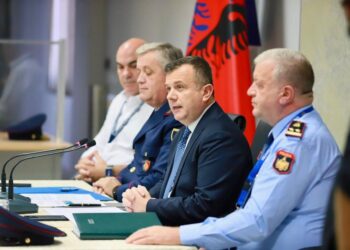 INVESTIGIMI/ Si u kap Drejtori i IT i Policisë duke kopjuar sistemin TIMS, misteri i emërimeve dhe heshtja e Qeverisë