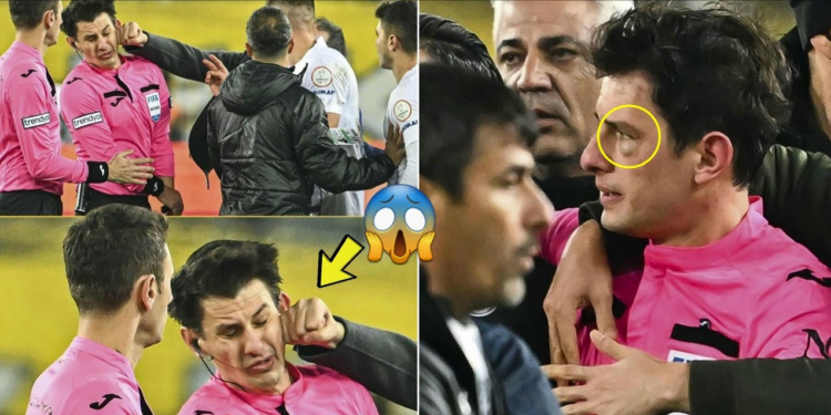 I ra në grusht arbitrit, habit presidenti i klubit: U rrëzua vetë