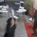 Itali – Shqiptari sulmon me hanxhar pronarin e një lokali/ VIDEO