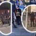 Plagosja në Shkodër, identifikohet autori! Policia: Shkak borxhi