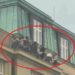 Masakra në Pragë/ Pamje të pabesueshme! Studentët fshihen nga shënjestra e autorit në parvazin e dritares