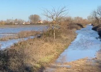 Lumi Ishëm doli nga shtrati në fshatin Murqinë të Krujës, qindra hektarë tokë bujqësore nën ujë