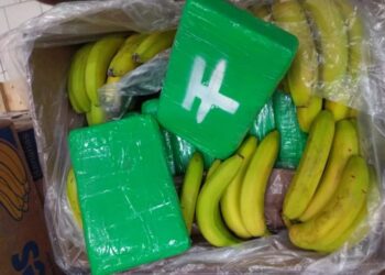 Qindra kile kokainë mes bananeve/ Kapet edhe një shqiptar në Çeki