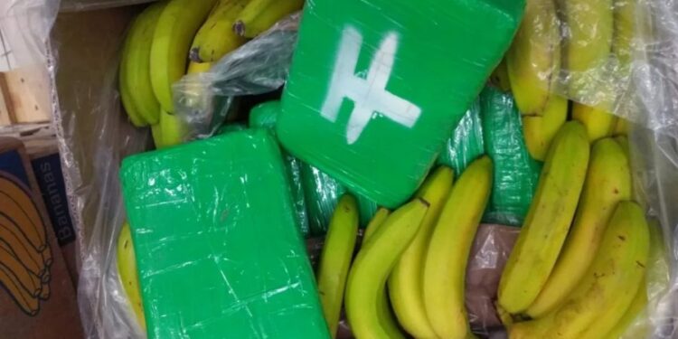 Qindra kile kokainë mes bananeve/ Kapet edhe një shqiptar në Çeki