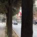 Italiania po ecte në korsinë e biçikletave në Bulevard kur e kapi plumbi qorr, detaje nga plagosja në Tiranë. Një burrë te zona e Piramidës pëson të njëjtin ‘fat’