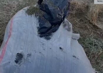 EMRAT/ Iu gjetën 26 kilogram kanabis gati për t’u shitur, arrestohen babë e bir në Malësinë e Madhe