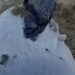 EMRAT/ Iu gjetën 26 kilogram kanabis gati për t’u shitur, arrestohen babë e bir në Malësinë e Madhe