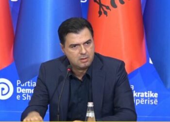 “Rama e Berisha, kukuvajka”, Basha: 50 mln euro për ndihmë ushtarake për Kosovën