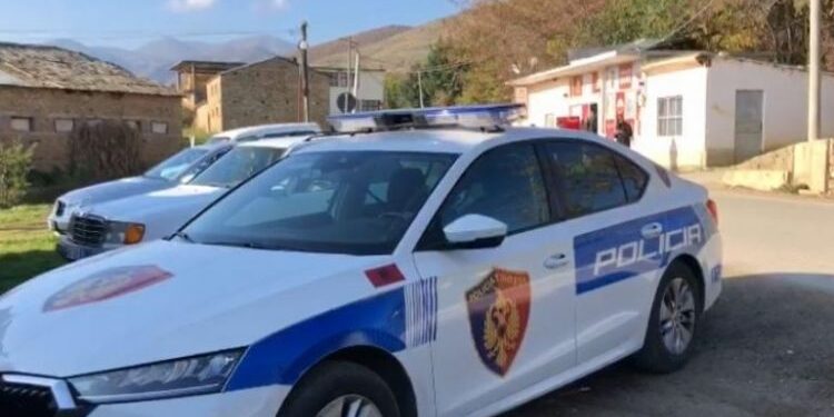 Plagosja në Krujë, identifikohet autori