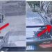 VIDEO/ Momenti kur hajduti futet nga dritarja në banesën e gardistit dhe i vjedh armën e shërbimit