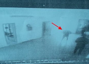 Vrasja në burg / Pamjet kur Mjacaj del nga qelia me armën e krimit dhe… (VIDEO)