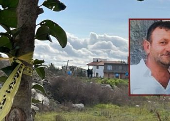 Vrasja e Pëllumb Metës/ Pas vajzës, arrestohen edhe djemtë e viktimës