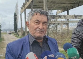 “Nuk vriste dot një pulë, jo babanë e saj”, flet krushku i viktimës
