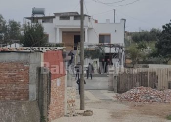 Studentja vrau babain dhe e groposi në oborrin e shtëpisë, dëshmitë: Pëllumbi me zor martoi dhe vajzën e madhe