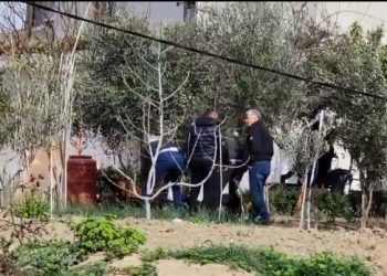Zbardhet vrasja e Metës, ja kush nga fëmijët e ekzekutoi babain 50-vjeçar/ Detajet