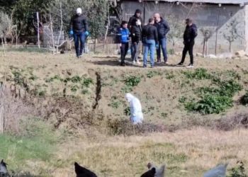 Vrasja e Pëllumb Metës, 7 të shoqëruar. Policia në kërkim të…
