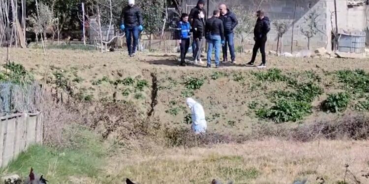 Vrasja e Pëllumb Metës, 7 të shoqëruar. Policia në kërkim të…