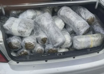 Lum droge në kufi, kapet tjetër ngarkesë me rreth 100 kg lëndë narkotike në Igumenicë