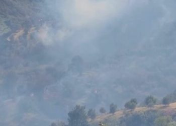 Zjarri në Fier/ Flakët përhapën në ullishte, policia shoqëron…