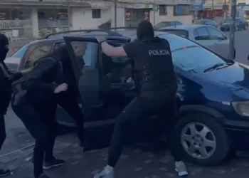 Vau i Dejës/ Zhvillohet operacioni më i madh i “historisë”, arrestohet 23-vjeçari me 100 fara hashashi