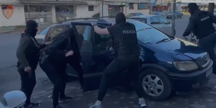 Vau i Dejës/ Zhvillohet operacioni më i madh i “historisë”, arrestohet 23-vjeçari me 100 fara hashashi