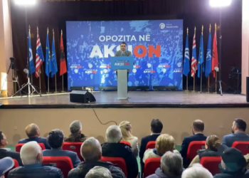Denoncimi i Këlliçit: Agron Malaj i ka dhënë vëllait leje për HEC