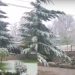 Dëbora zbardh Voskopojën, si paraqitet situata