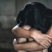 Arrestohet i riu në Shkodër, tentoi të kryente marrëdhënie seksuale me motrën e tij