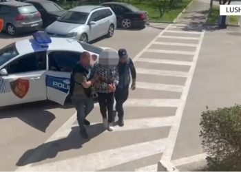 Publikoi në rrjete sociale video intime të një vajze të mitur, arrestohet 19-vjeçari në Lushnjë