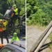 Tmerr në teleferikun në Itali ku gruaja tërhiqet dhe bie për vdekje, e kapur nga kavot