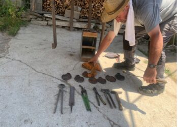 ‘’ÇDO COPË HEKURI KA NJË HISTORI PËR TË TREGUAR KUR DEL NGA DUART E NJË NALLBANI’’