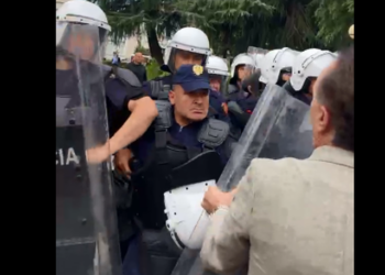 Efektivi i policisë i nxjerr armën deputetit Luan Baçi