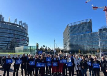 Deputetët e PD-së protestë para PE: Lironi Salianjin